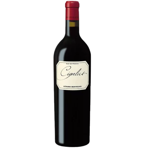 Cigalus Rouge 2021