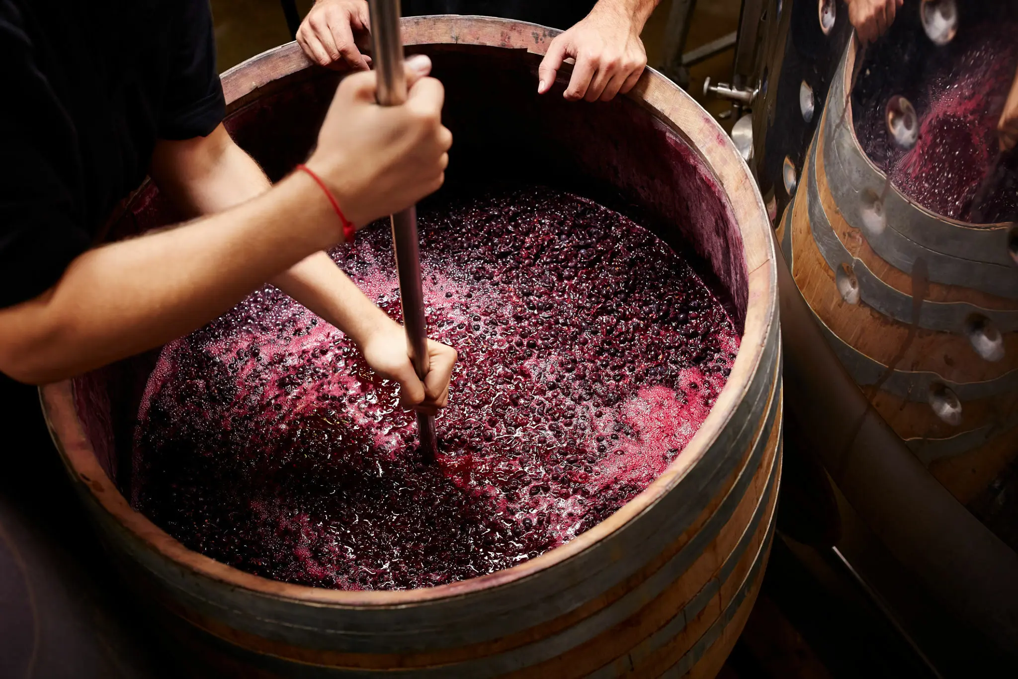vin biodynamique