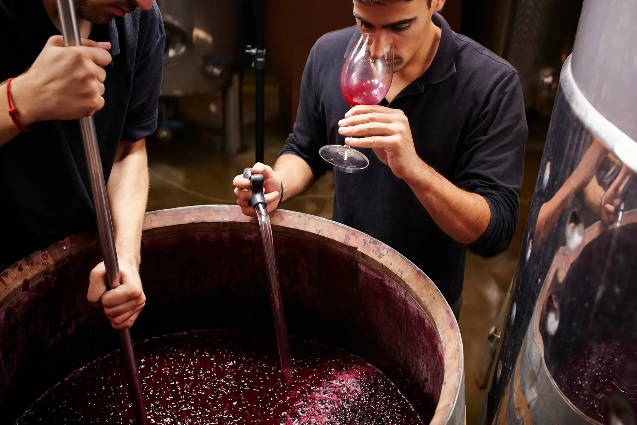Dégustation de vin biodynamique